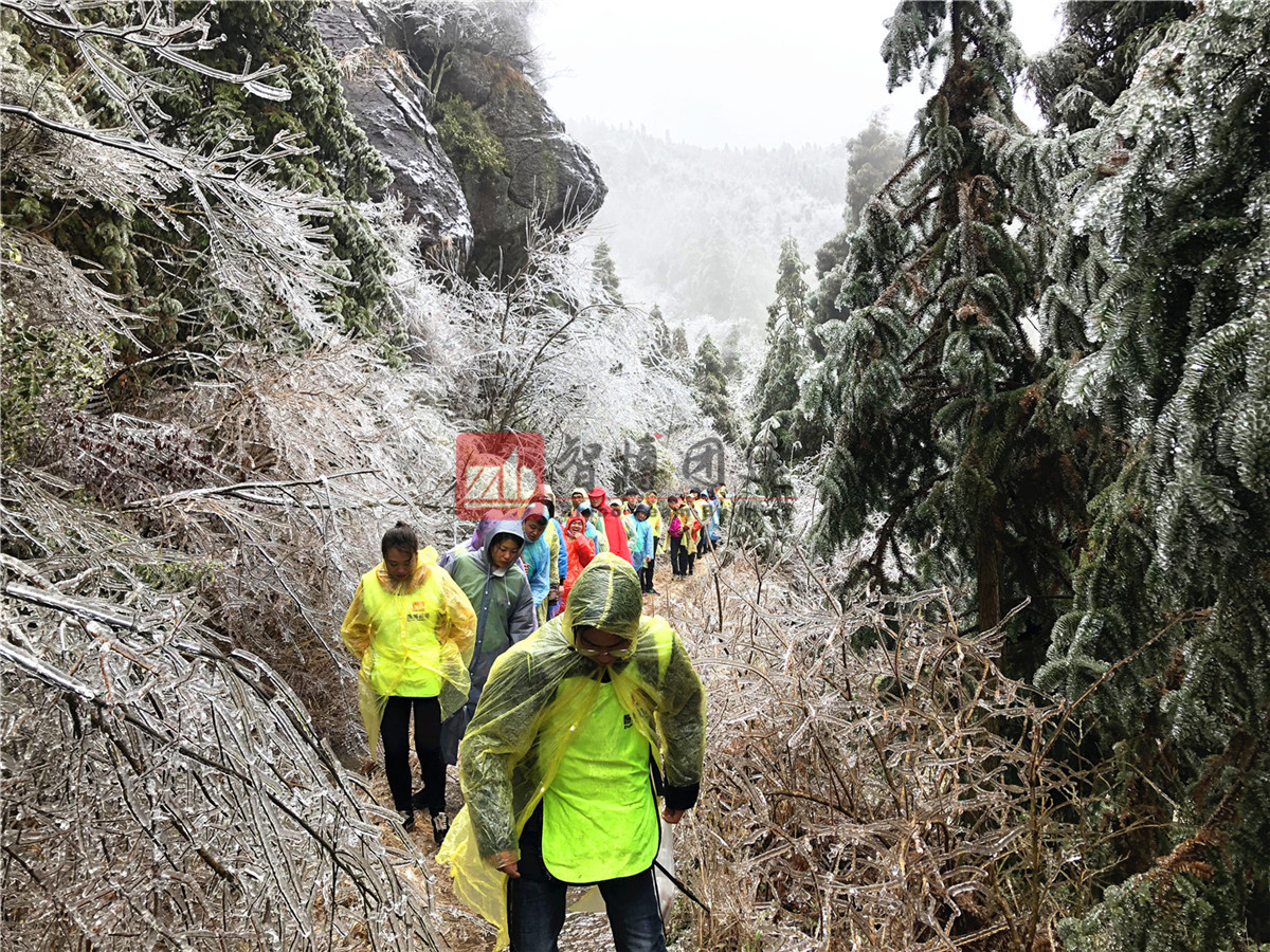 天鵬建材 | 踏過荊棘，不負(fù)此行！